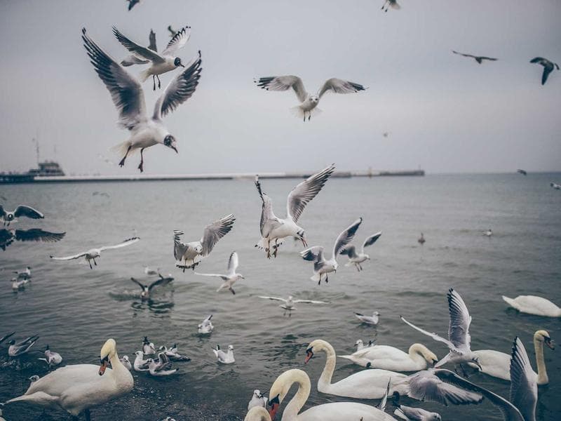 قص ليزر أكريليك